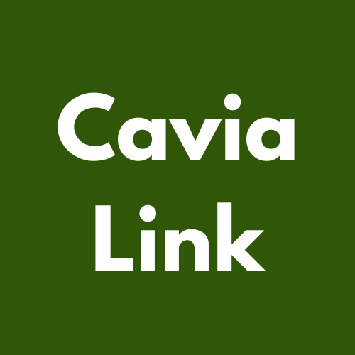 CaviaLink